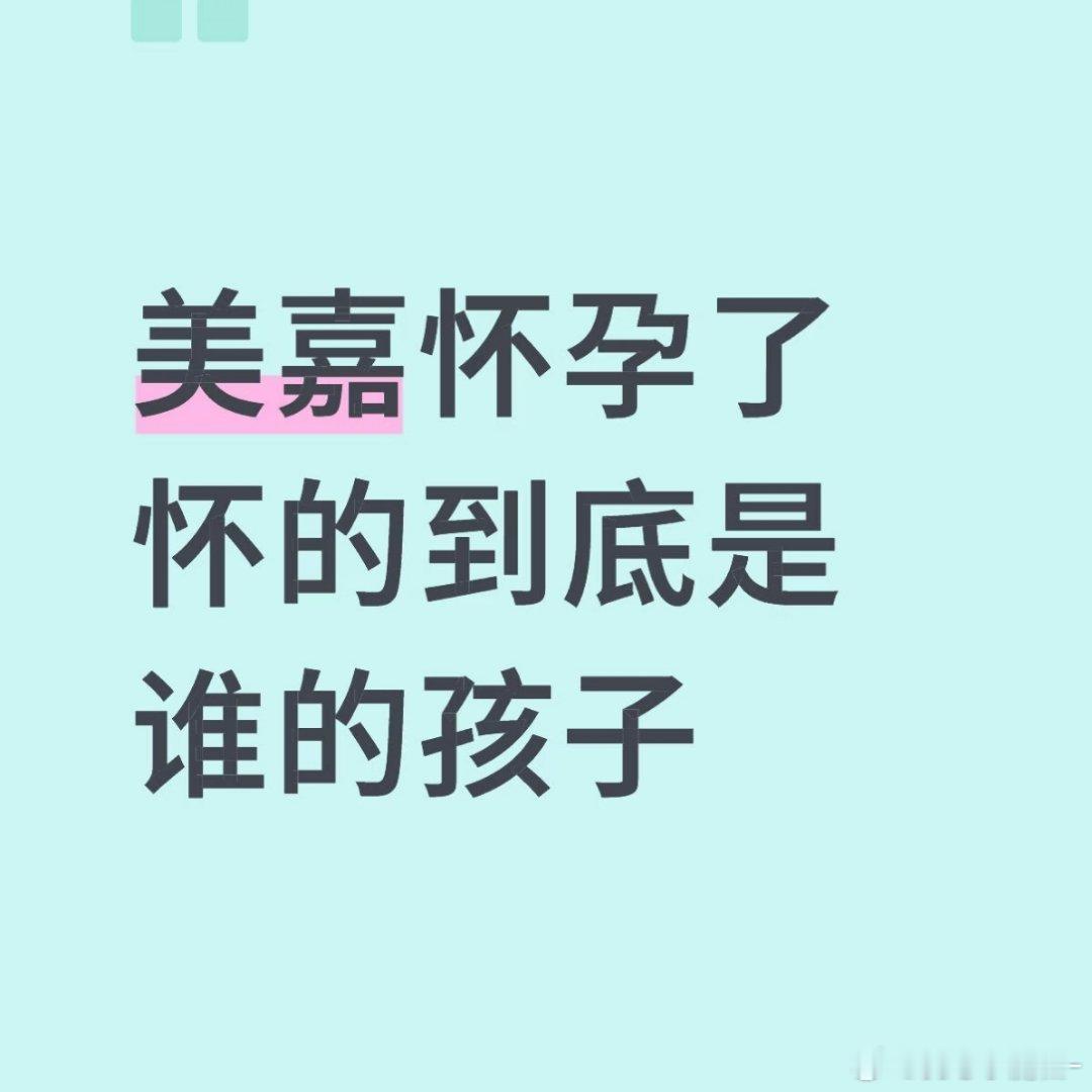 爱情公寓 美嘉怀的谁的孩子