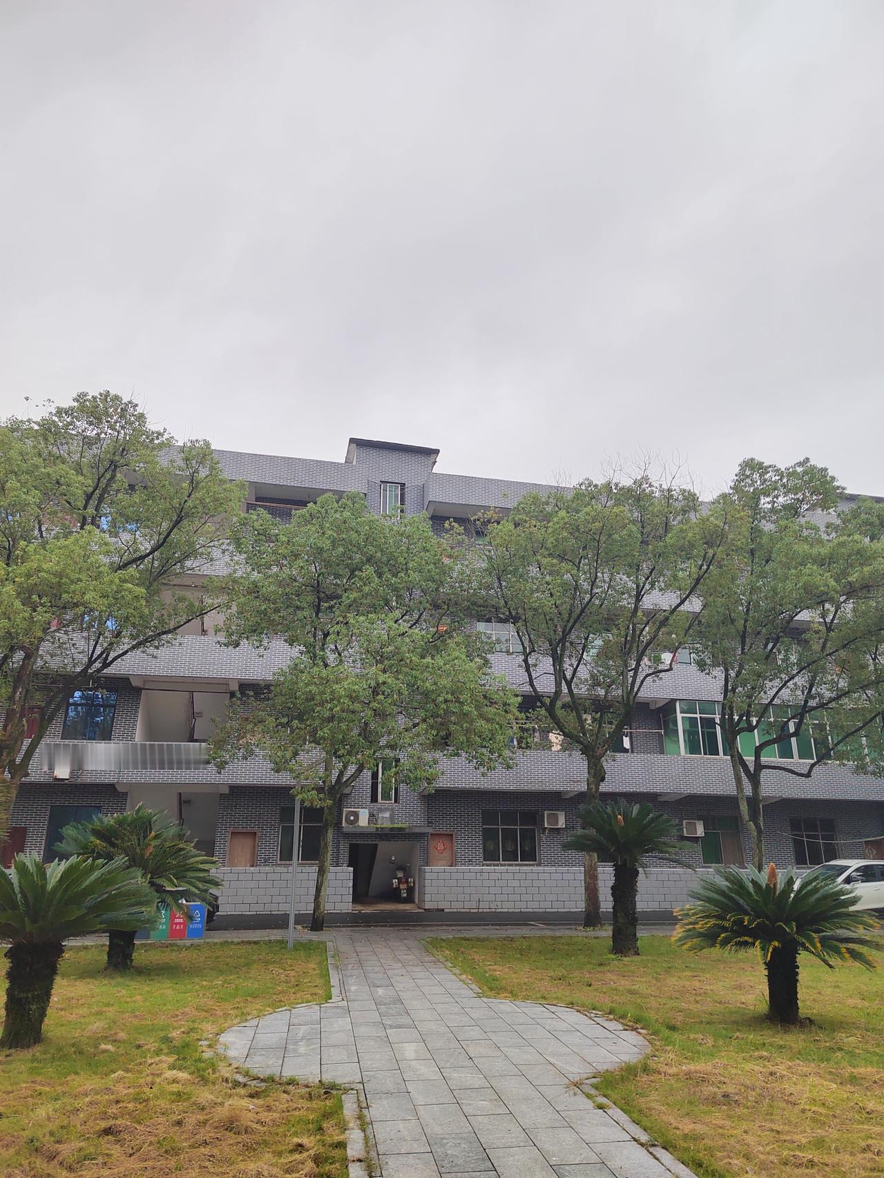 丰城湖塘乡，不挨大山，不挨大河，街道像乡，以平原为主

丰城湖塘，有时你很难给它