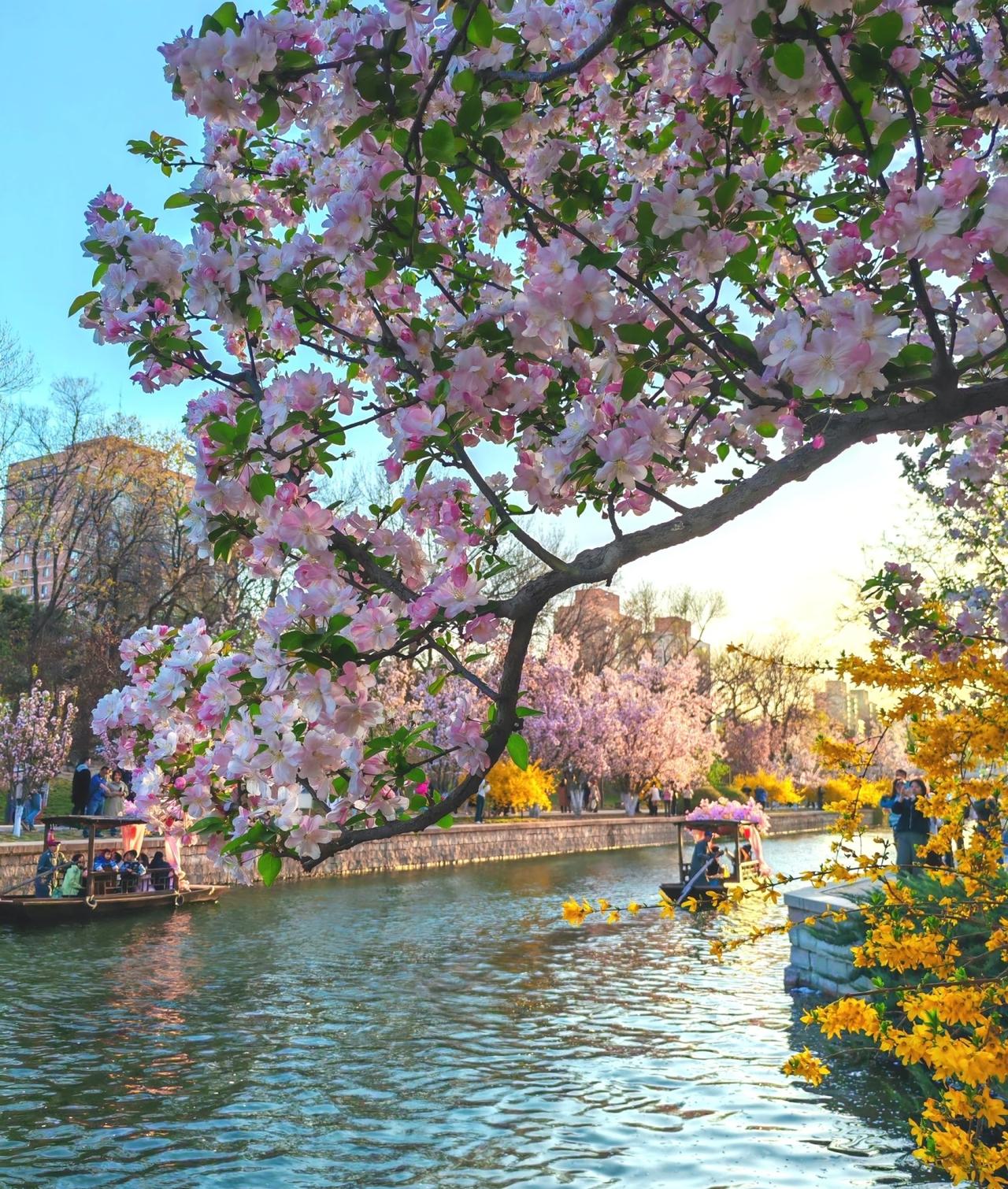 昨天我去给婆婆送饭，发现了一种新型的养老方式。

婆婆最近腿疼，不能下楼买菜了，