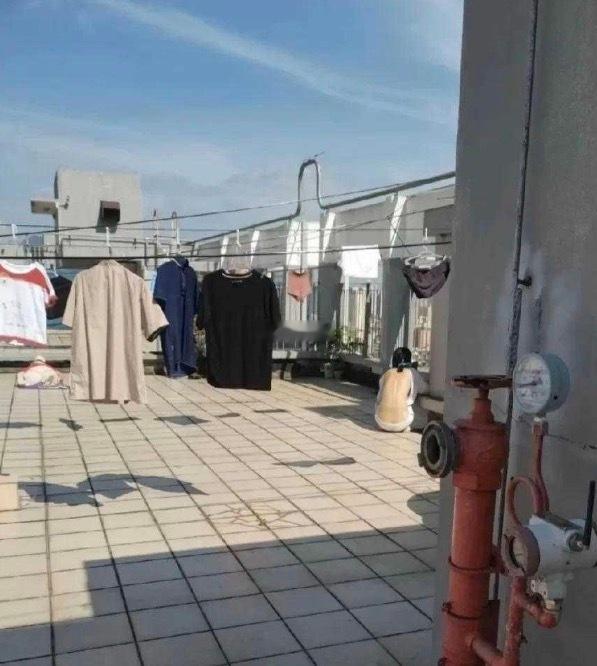 上楼顶晾衣服，看到一个晒背的 