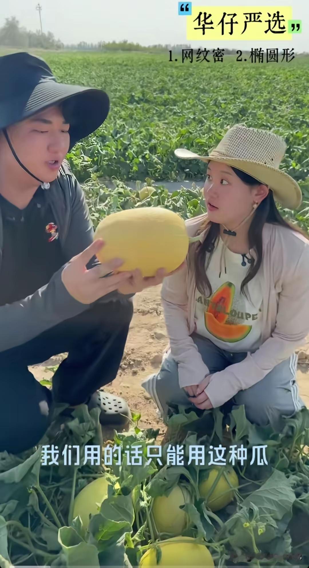 张家齐全进华新疆助农直播，这画面太暖了！
 
最近刷到张家齐和全进华去新疆哈密瓜