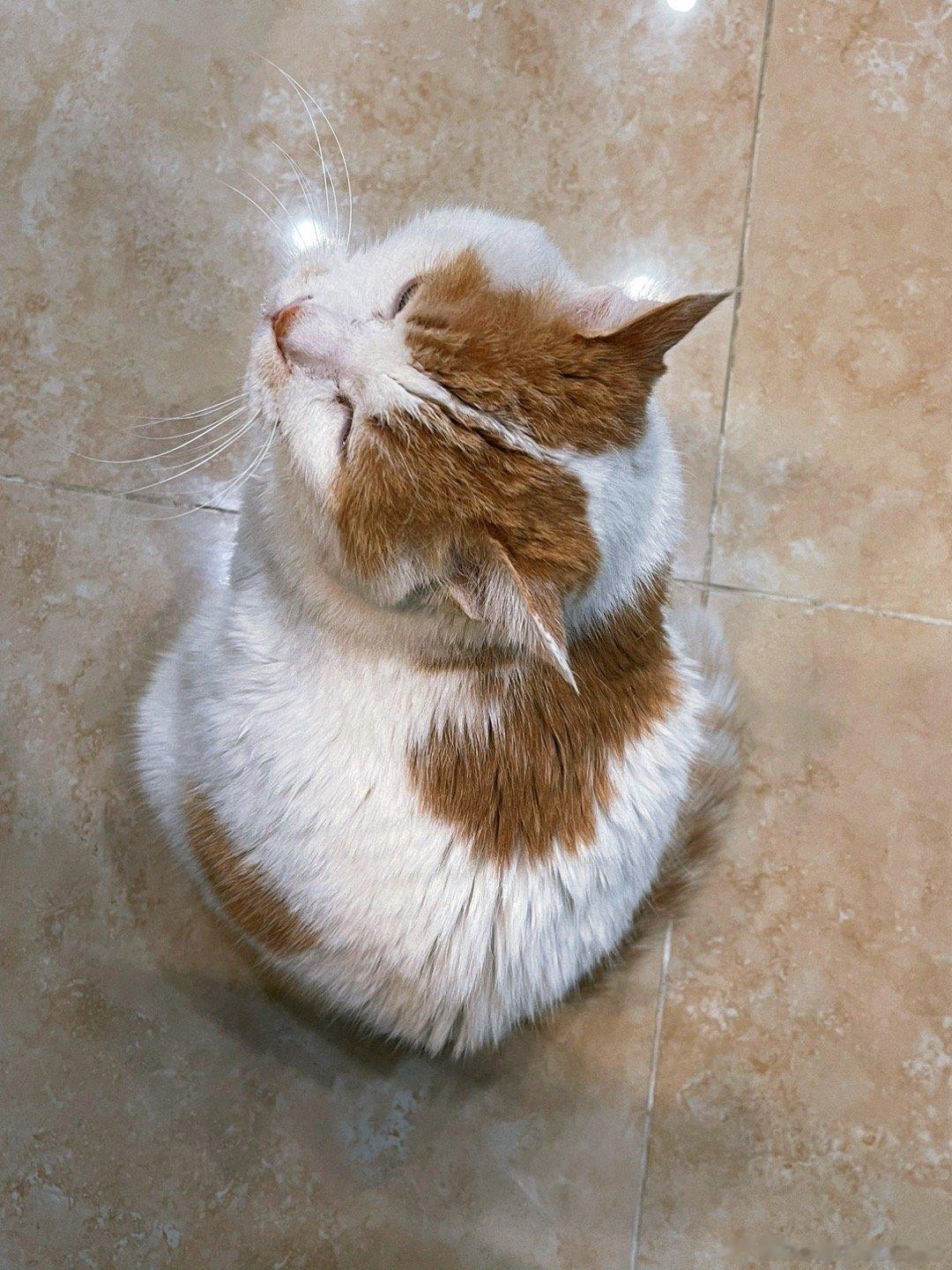爱大哥 ​​​