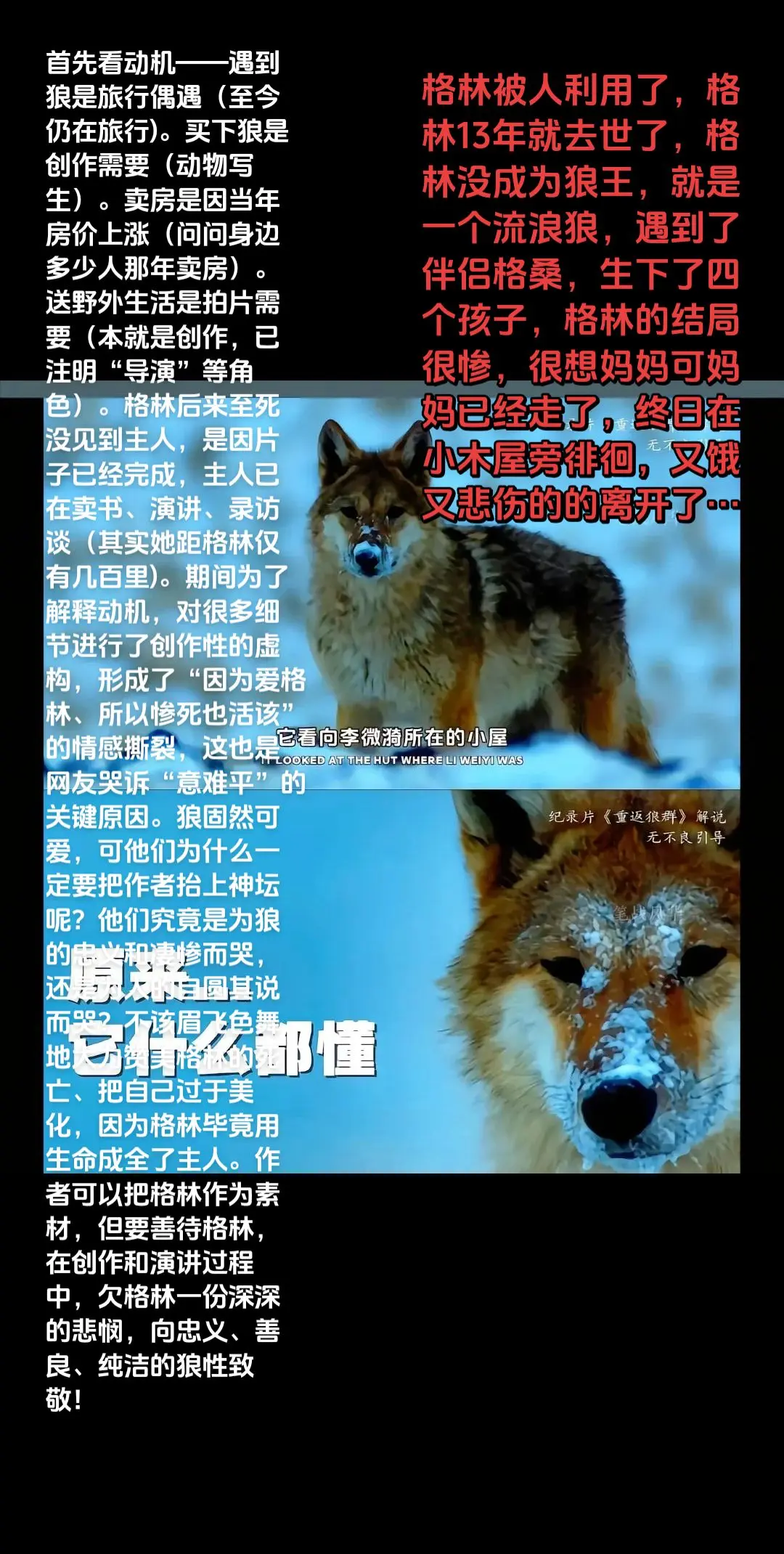 格林的真实情况。