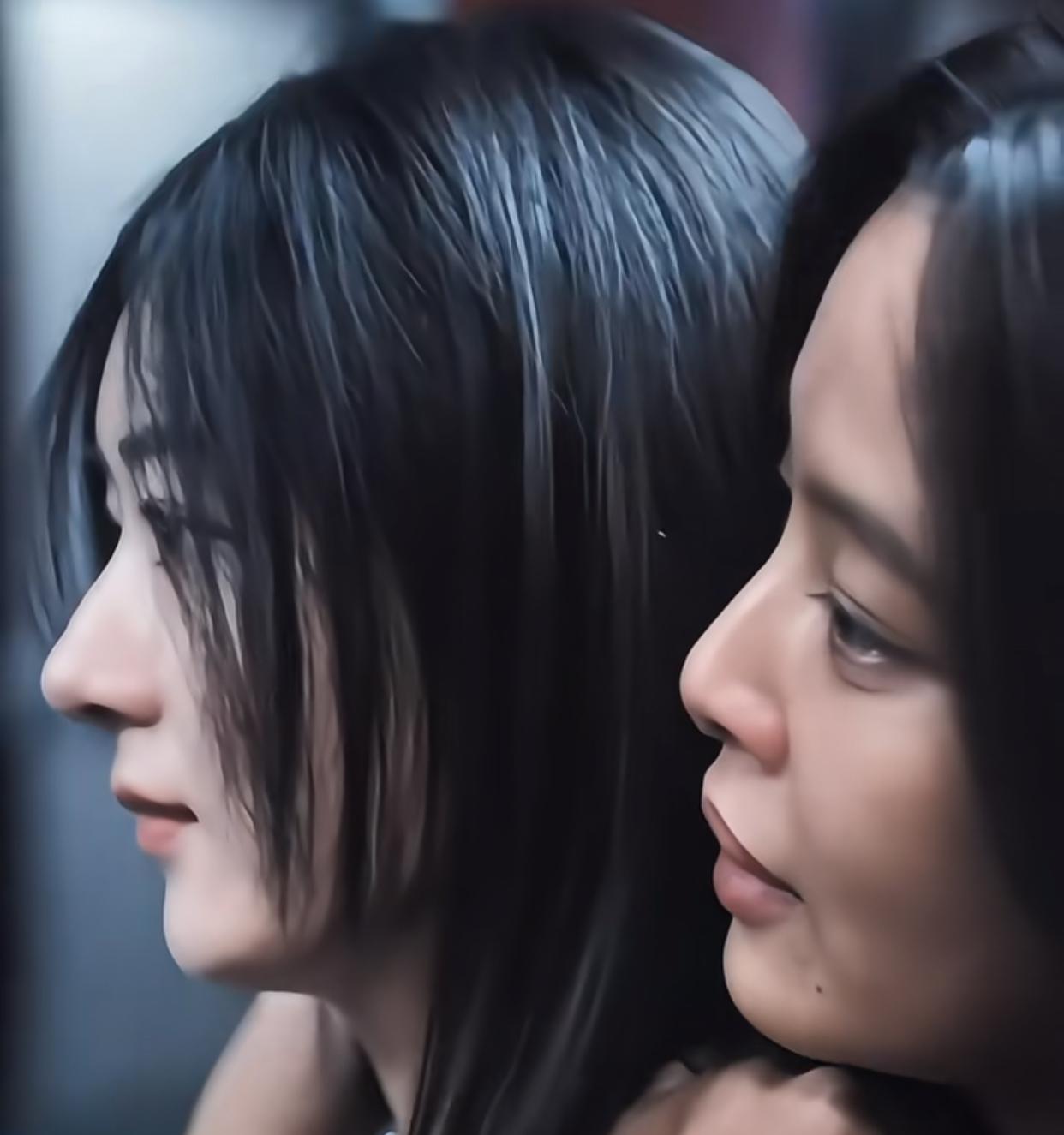 这么看鼻子对一个美女来说太重要了，
赵丽颖和辛芷蕾，
在影片里她俩是一对儿姊妹。