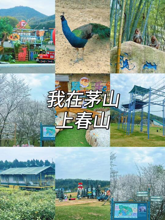 我在茅山上春山❗️❗️去班味，感受山野的魅力
