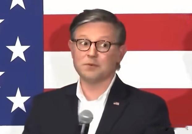 众议院议长迈克·约翰逊说，共和党需要打破历史，守住众议院，这样他们才能撑到203
