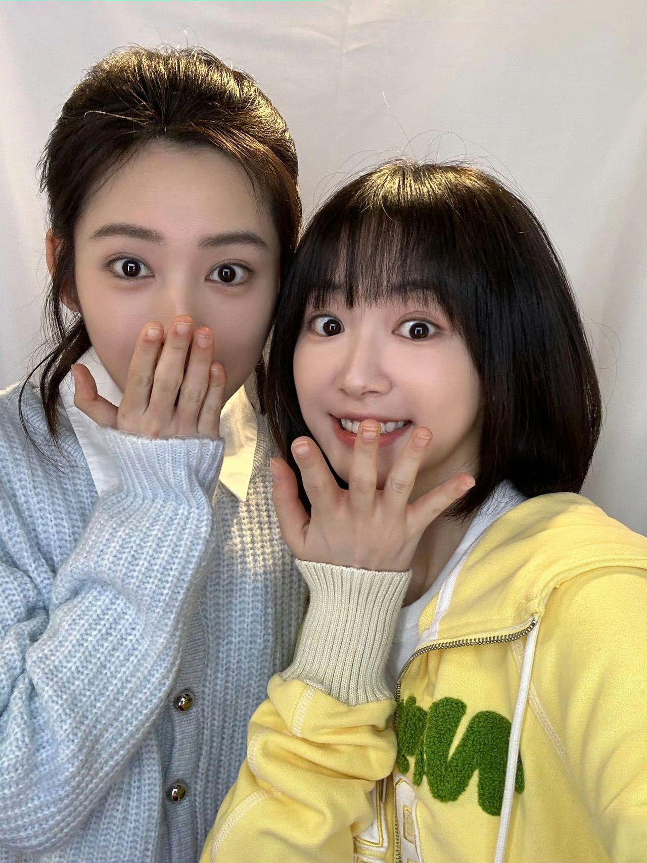 杨肸子 向全世界安利 树下有片红房子 鹤秋 合照