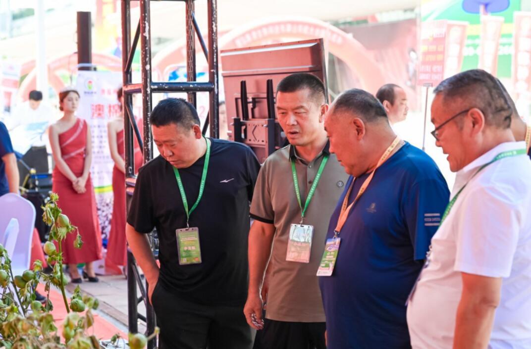 深耕天山沃土，共赏丰收华章！新疆农博会全面呈现新疆农业产业化、现代化发展成果。立