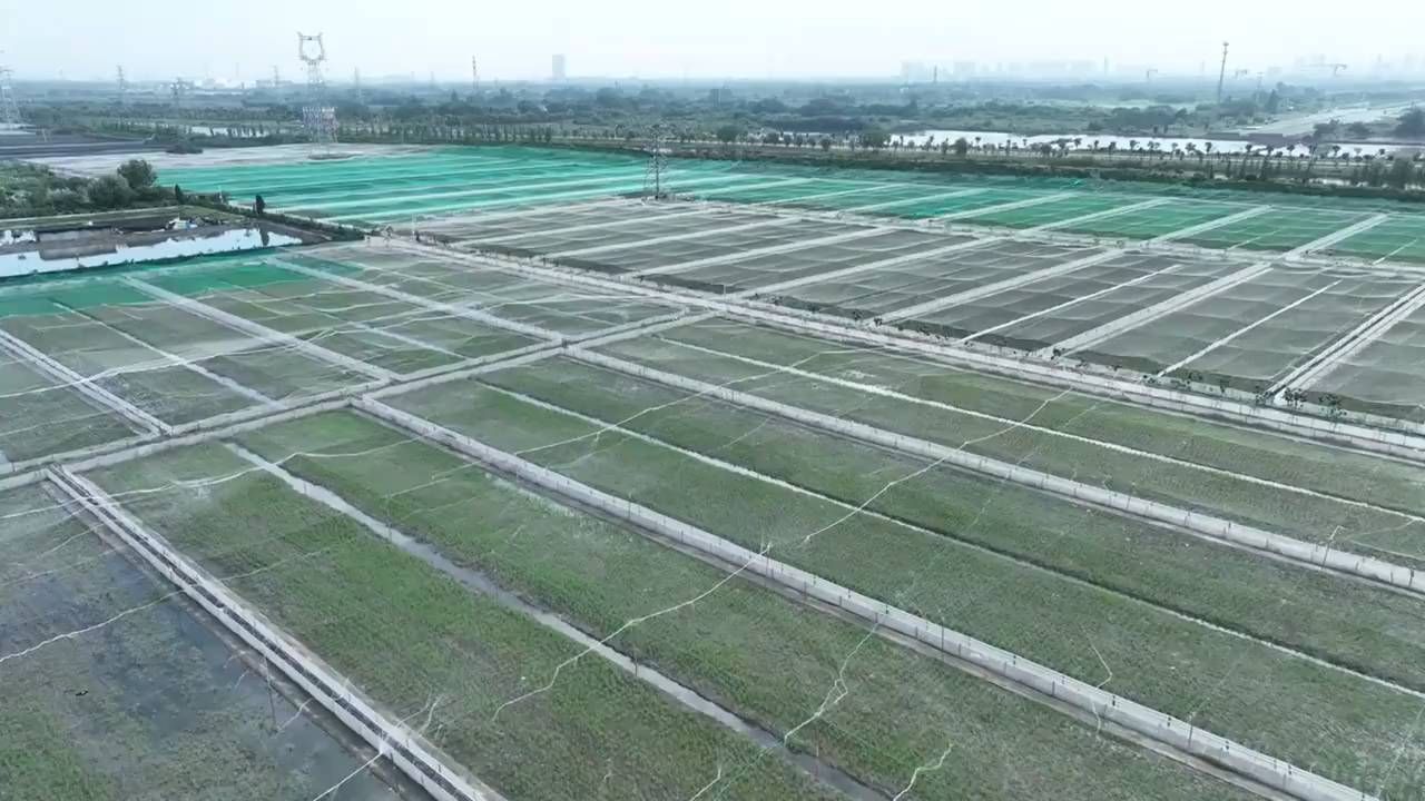 央视曝光大棚撂荒，建时没人管用途，建完用途管死你