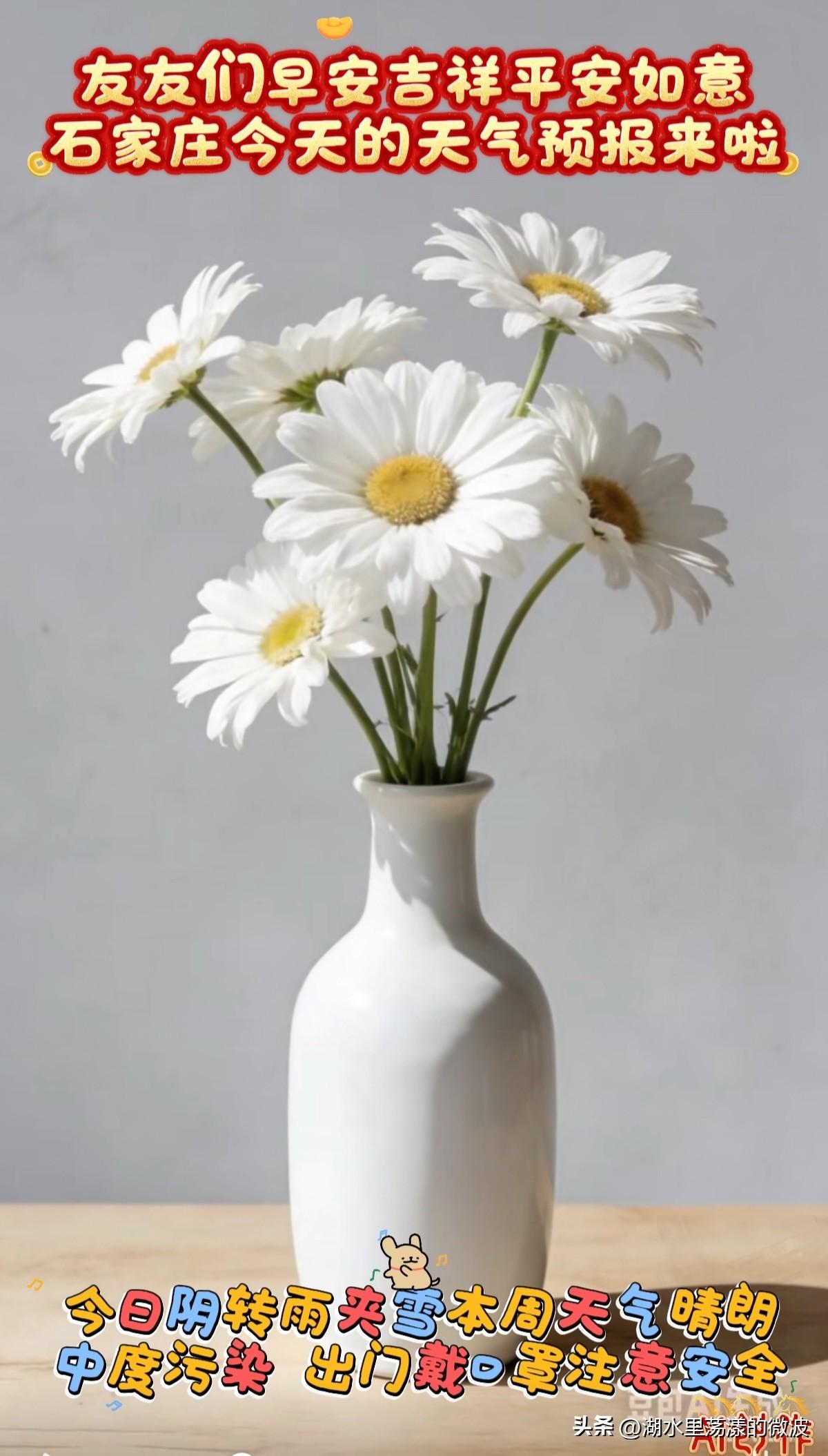 🌻早安问候🌻
𝙂𝙤𝙤𝙙 𝙈𝙤𝙧𝙣𝙞𝙣𝙜
今天是：
20