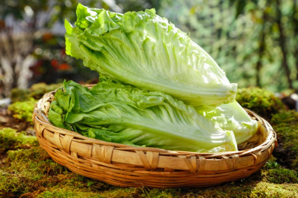 吃是一种生活，享受美食更是一种人生。如何吃？怎么吃？吃什么？这些问题看似很普通，