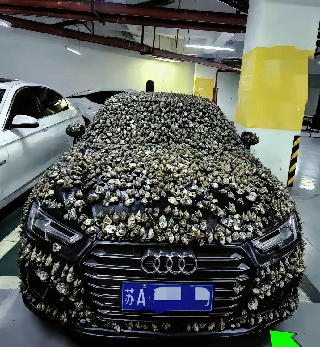 哈哈，这老哥就是刚。
江苏一大哥的车位长期被别人占着，不管怎么沟通都不管用。最后