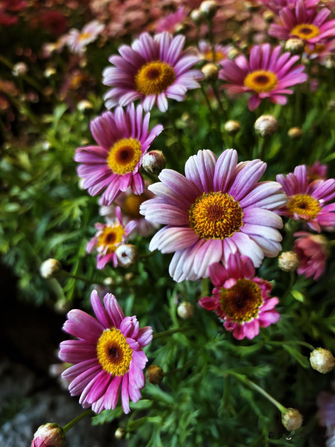 别以为退休后还有20年可以享福，告诉你个真相，平均7年左右。大多数人都做着同一个