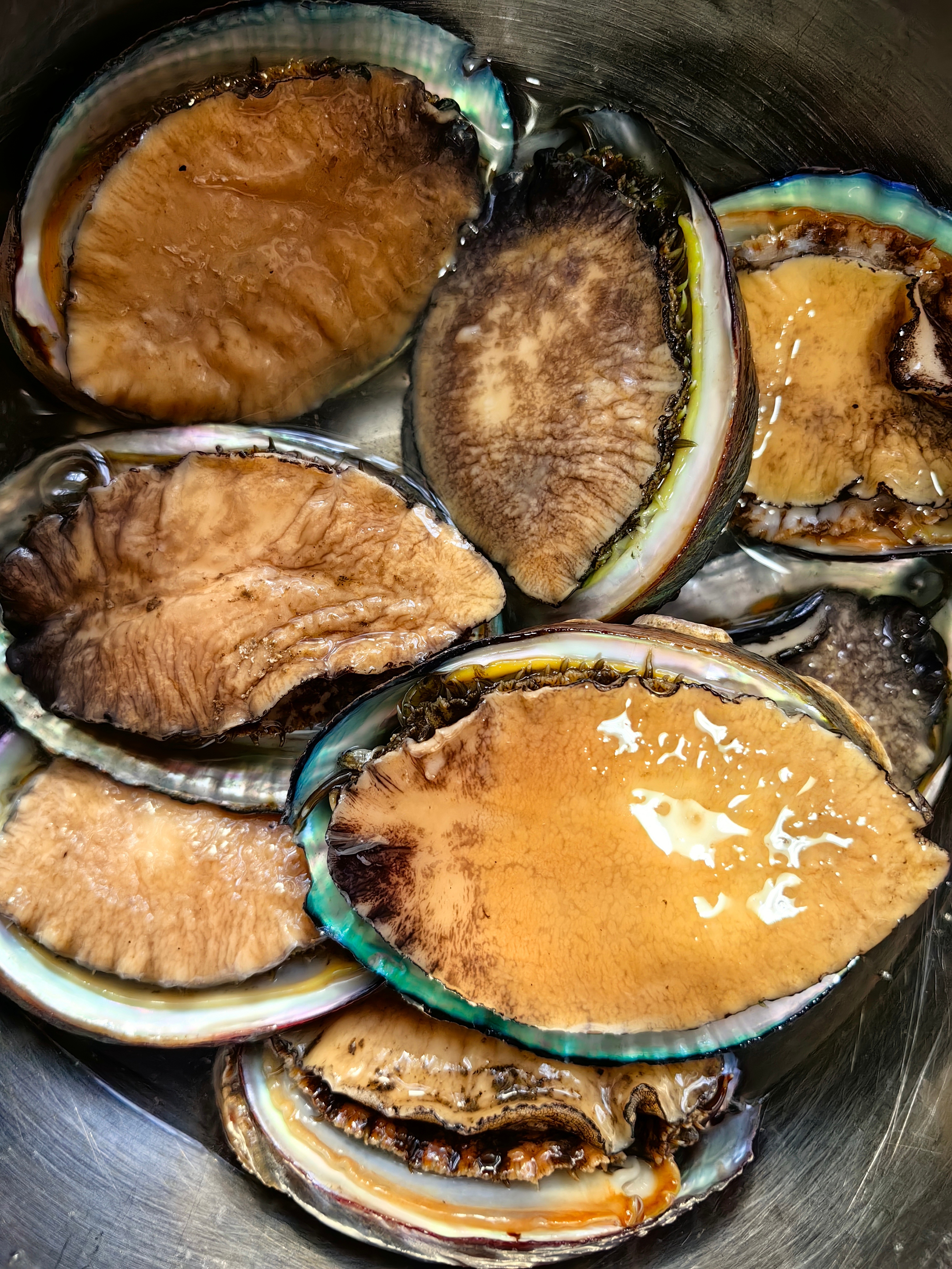 【感谢男女粉丝大侠：年年有余！】热情的粉丝，纷纷送来了昂贵的青岛黑虎虾、大头鲍鱼