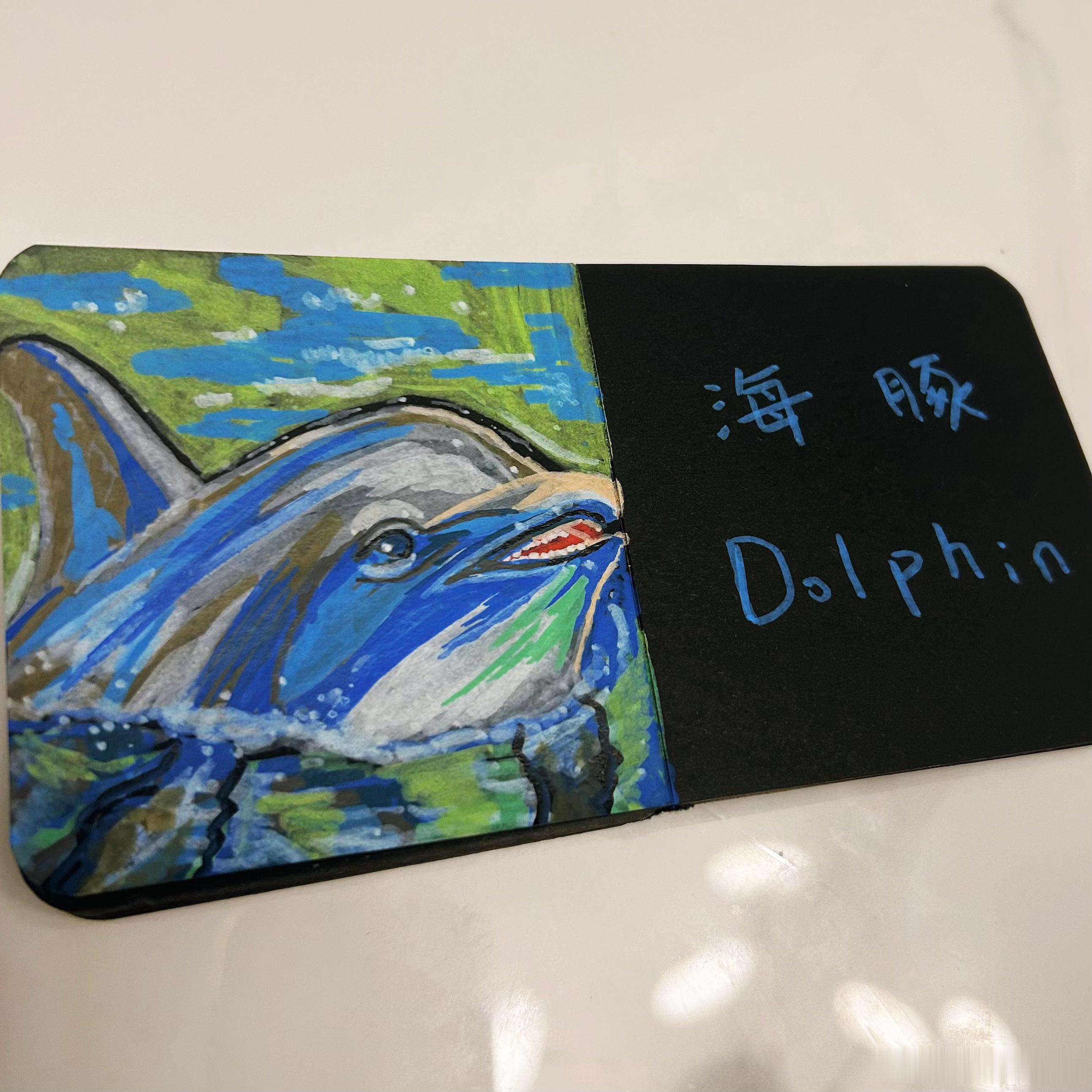 我还在海里，下辈子让我做个海豚吧[心]  ​​​