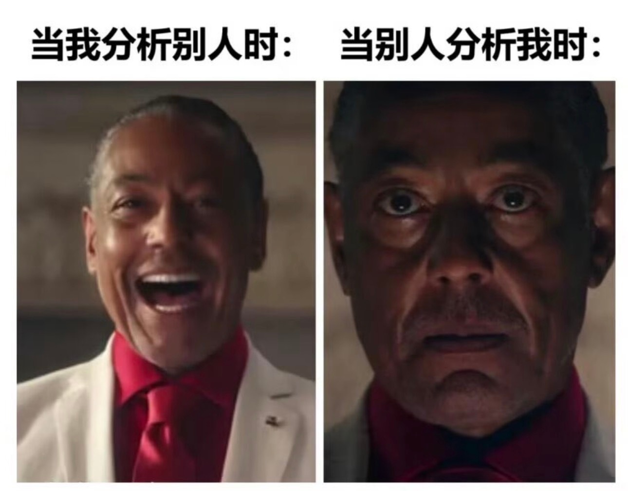 谁？今日memesfunny memememe