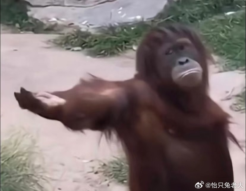 打开行李箱发现多了8万元急的我马上打开了行李箱，一看，并没有😞 碰到这样的事，