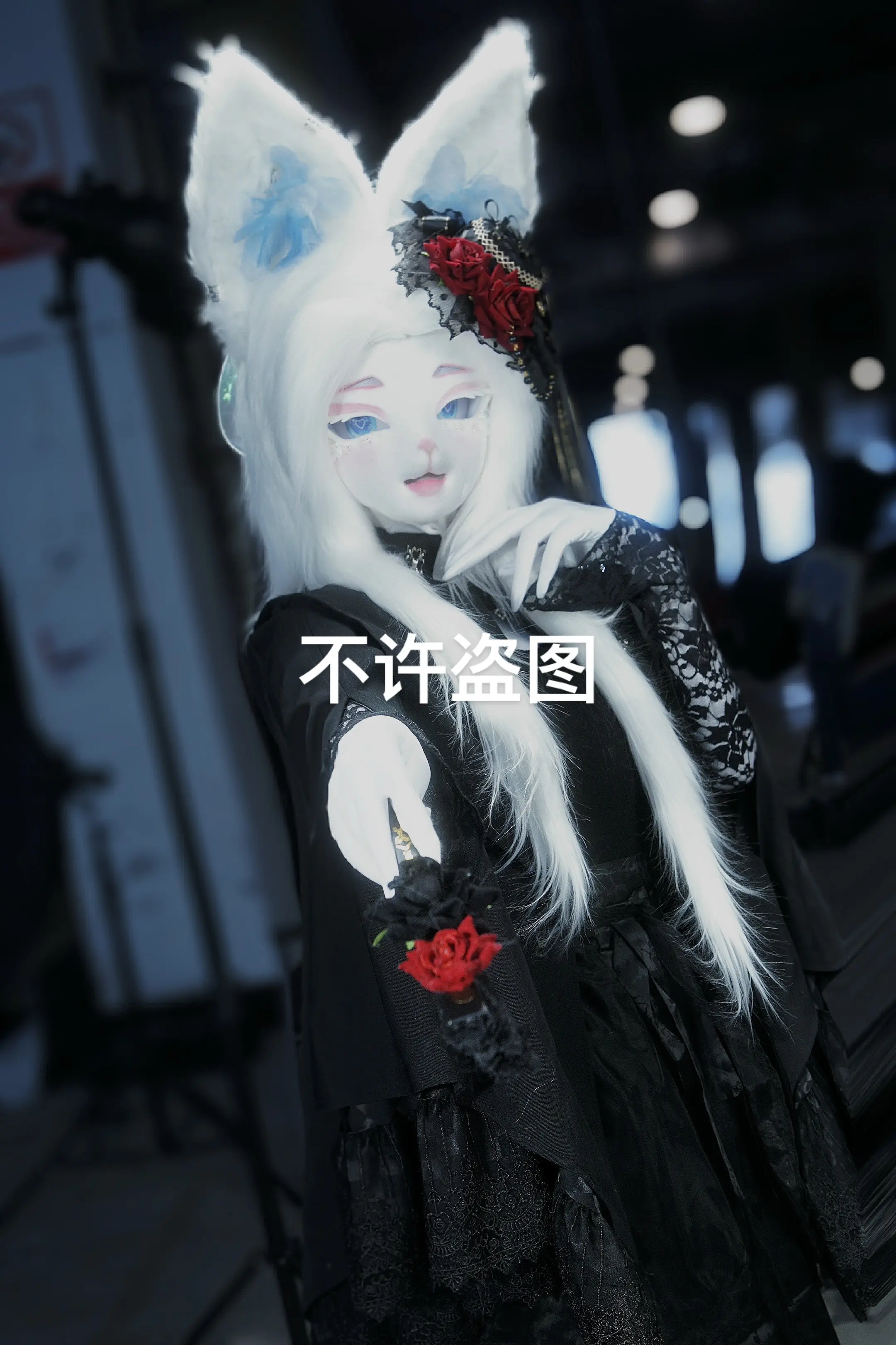 新新的场照