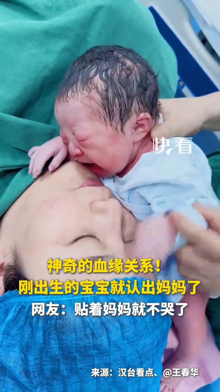 快看神奇的血缘关系！刚出生的宝宝就认出妈妈了。
来源：汉台看点、@王春华。
网友