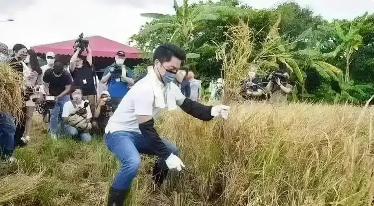 领导割稻

很会摆拍

媒体为什么不去报道民众的生活
