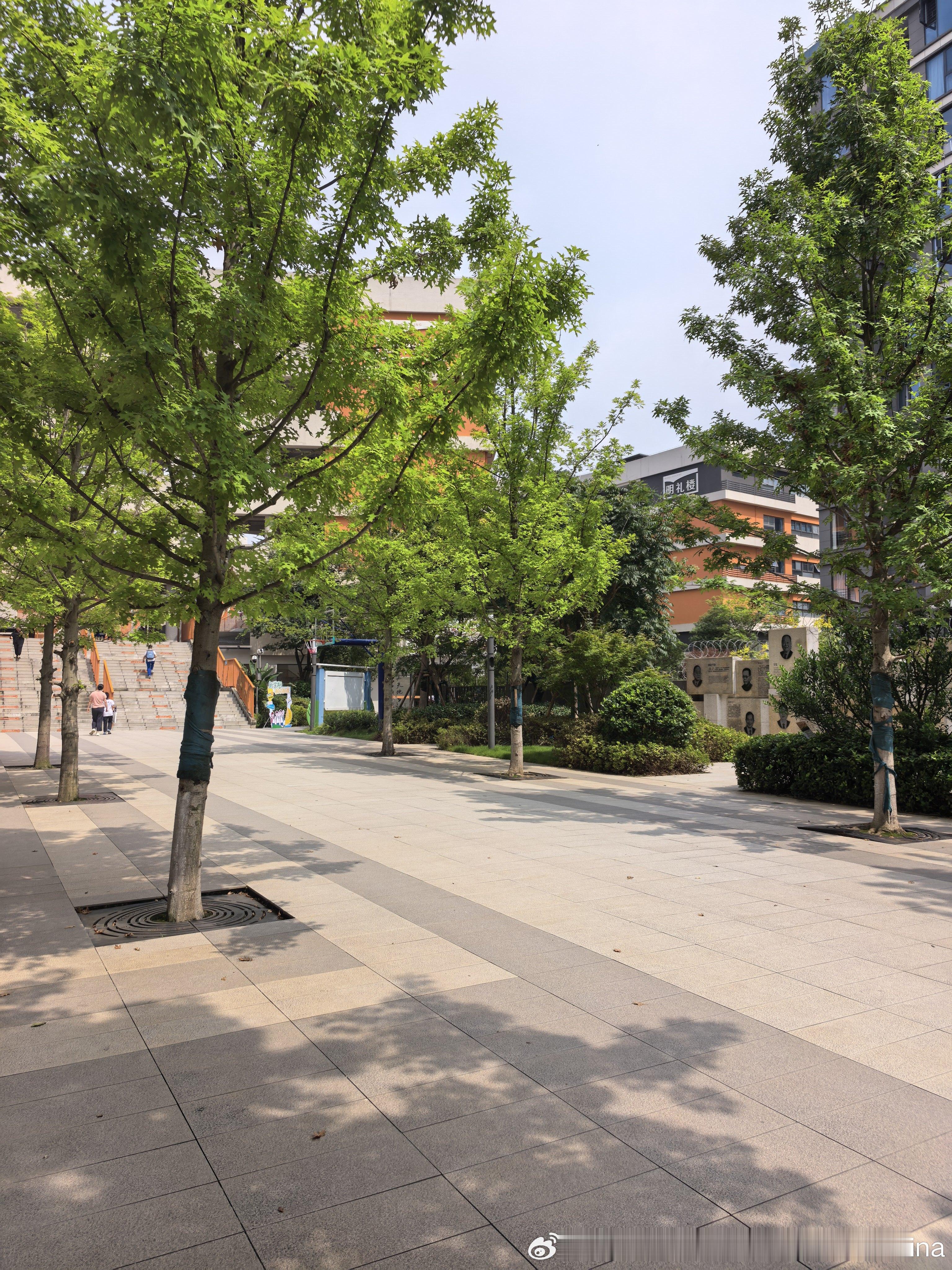 报道啦！新学校很不错 团子很喜欢[心]妮娜一家[超话]饭团团成长记 ​​​
