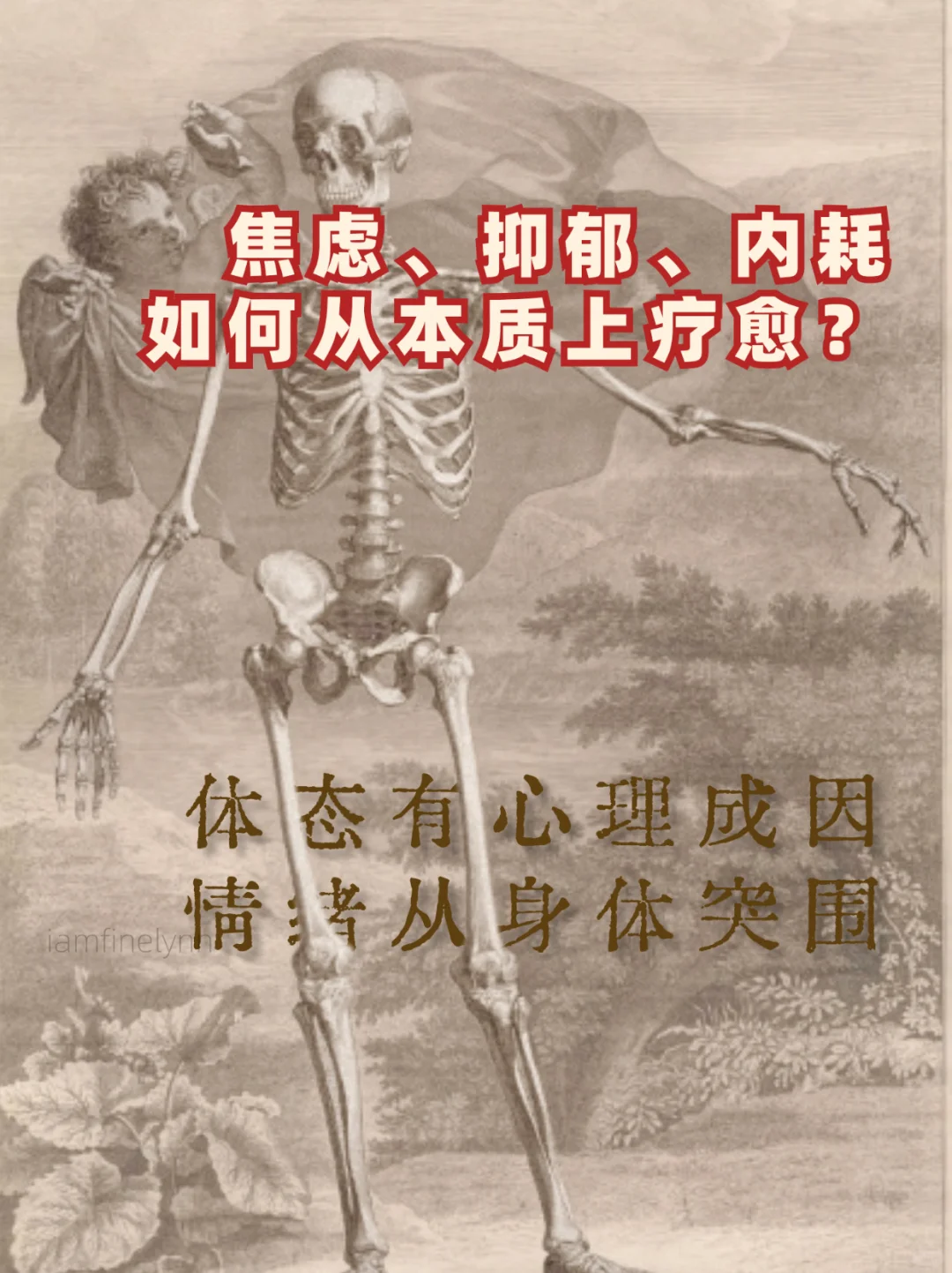走出内耗，从本质着手