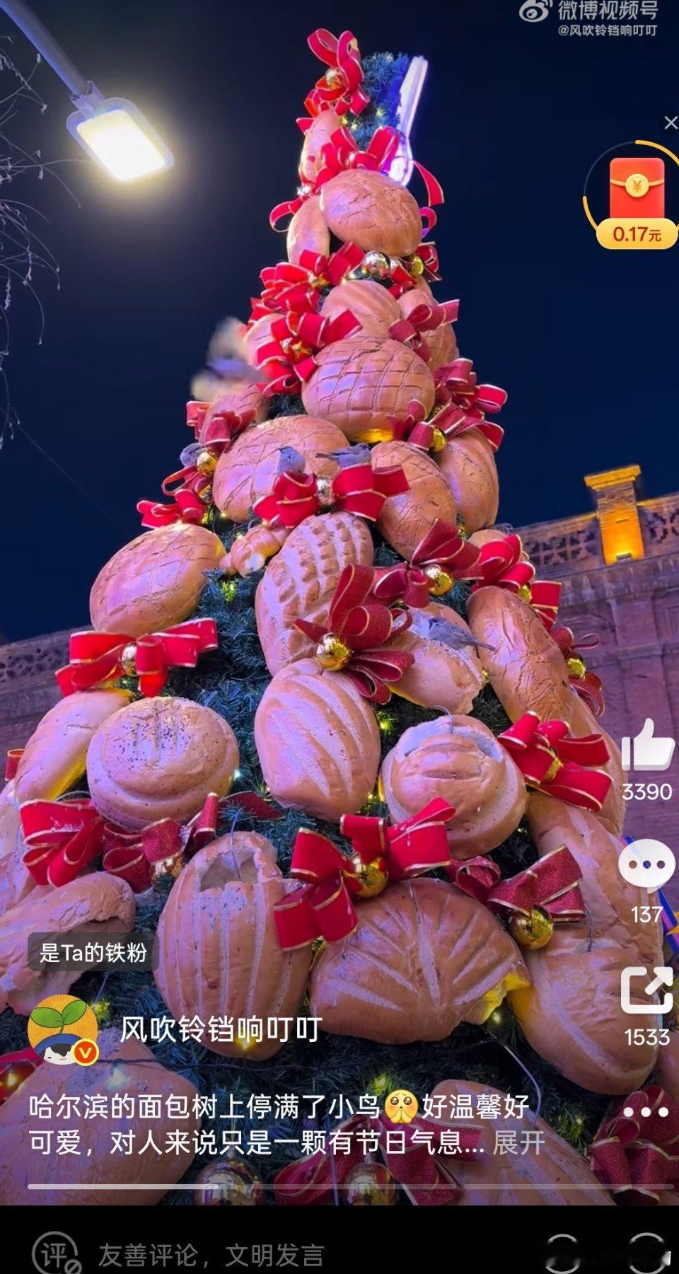 哈尔滨的面包树上停满了小鸟好浪漫好有爱的画面啊！！想去哈尔滨了！！