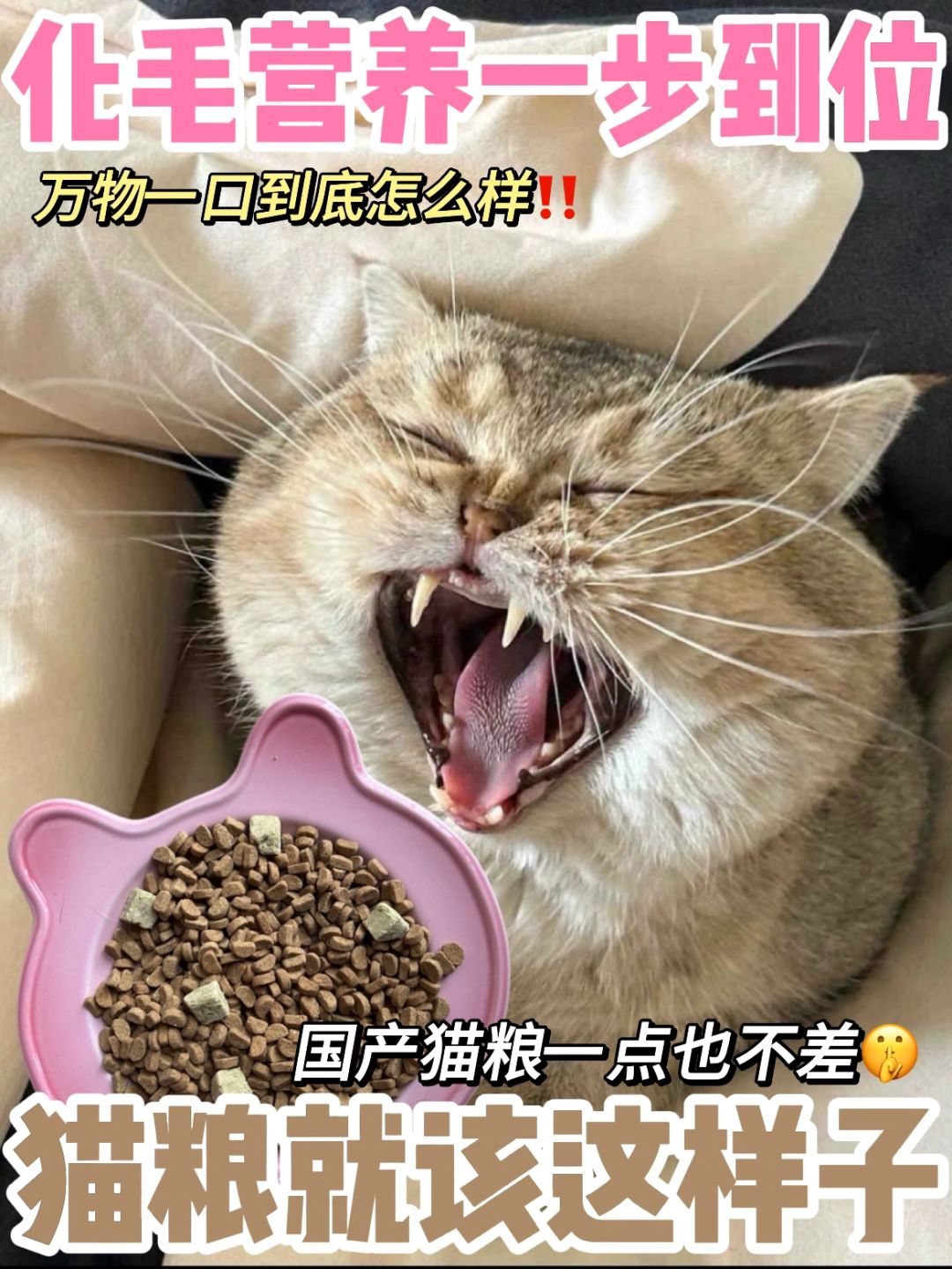 化毛营养一步到位！猫粮就应该选这样子的！