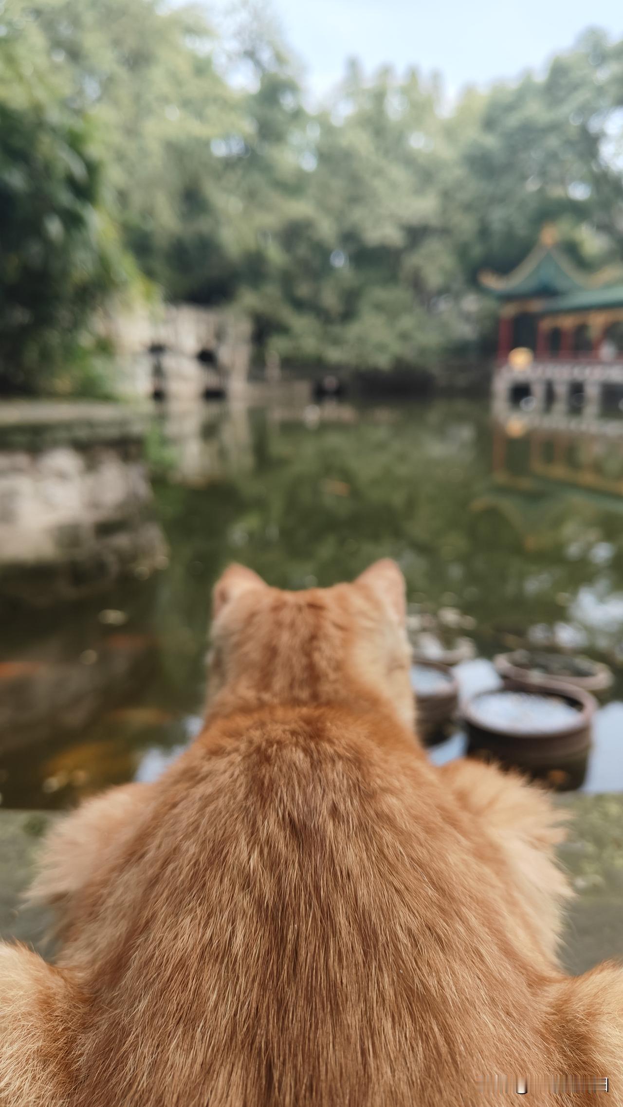 如果你觉得自己的前半生都坎坷不断，感觉整个世界都在针对你。
​那么我要恭喜你，是