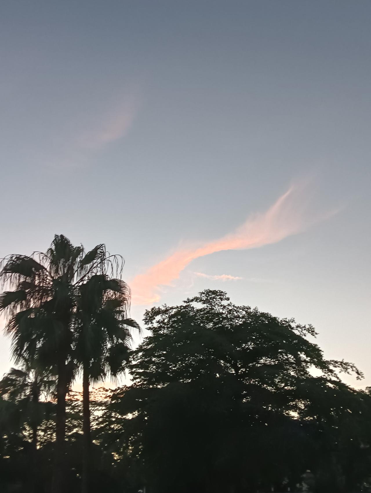 全网女人就我最失败了，40多岁了还一无所有，家庭没有，事业没有，很多身边的朋友总