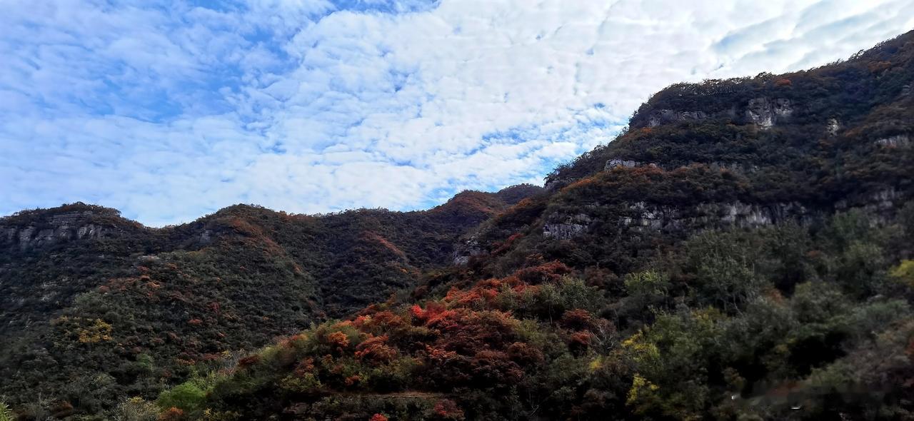 
蓝天白云红叶，巍峨壮观山峦，多彩多姿的秋天，正是出游的好时节……
