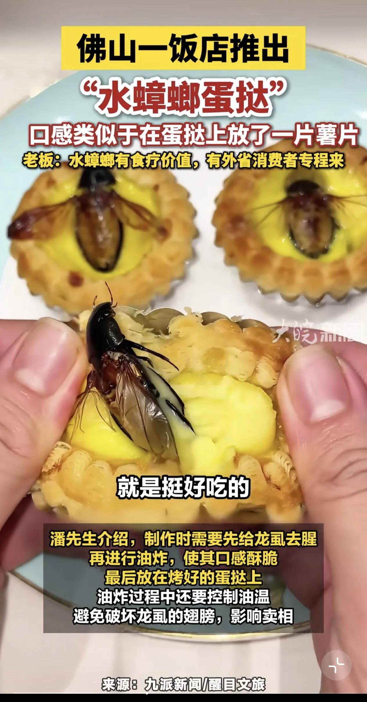 蛋挞上面放螳螂，螳螂蛋挞，你吃得下么？
 
近日，广东佛山一家饭店推出了这款出圈