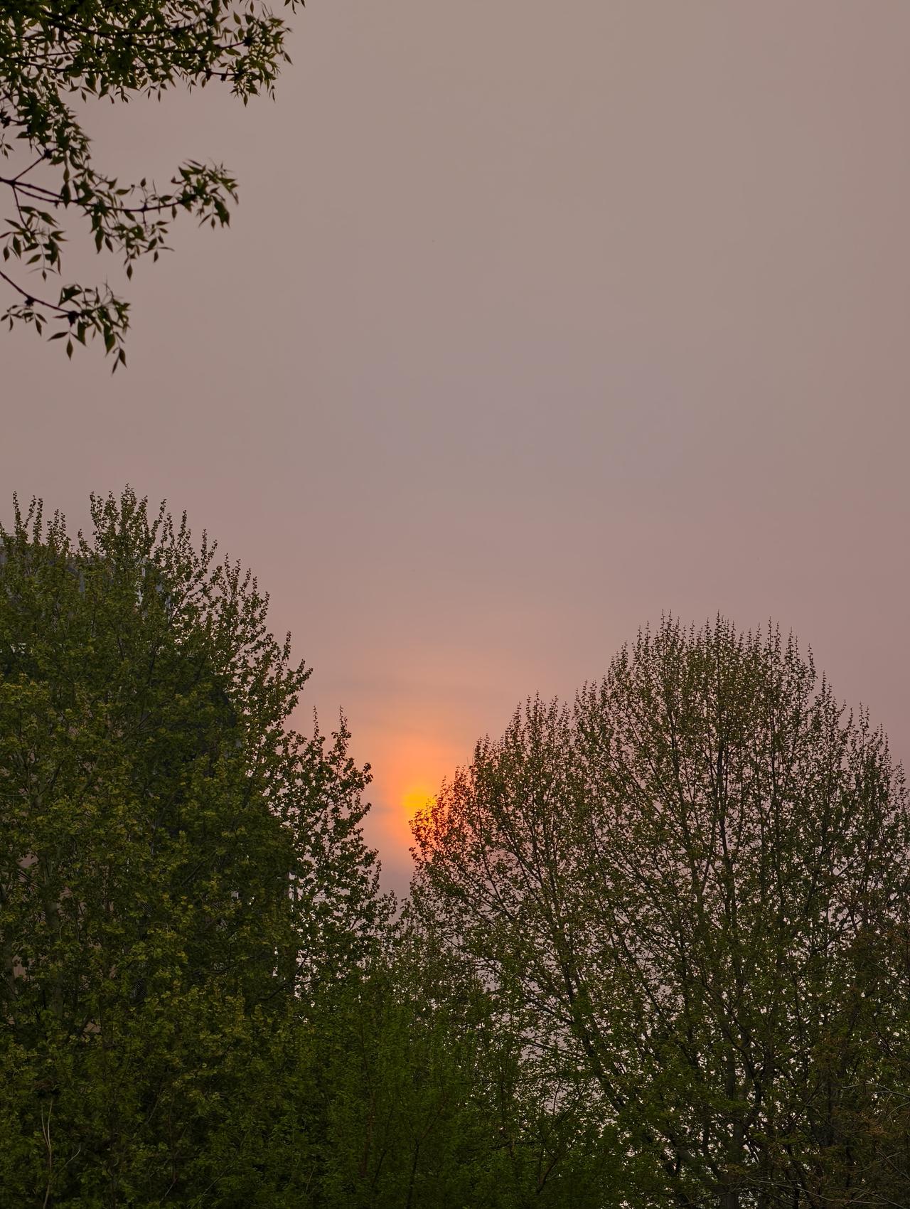 今天早晨，云层不是很厚，太阳刚刚露头，随手一拍日出的瞬间！