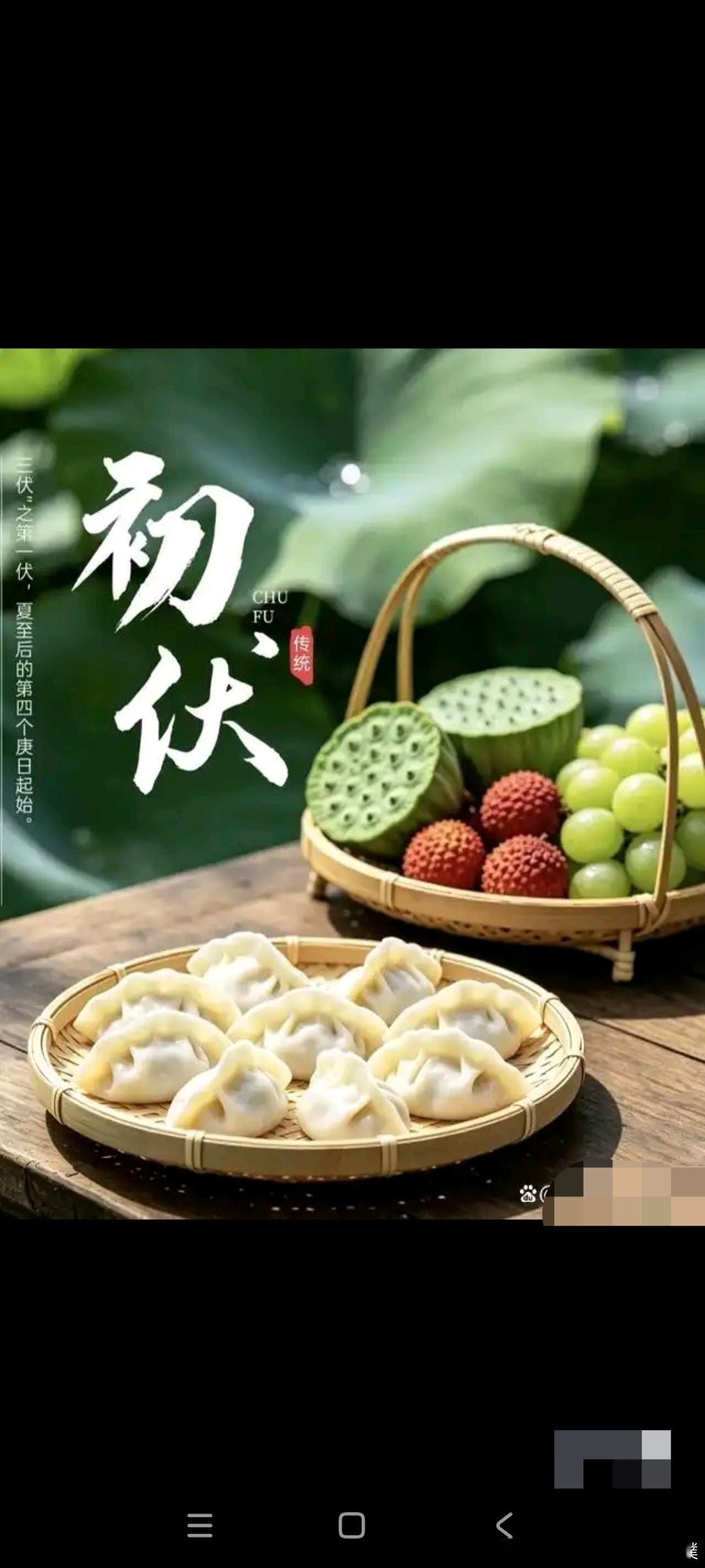 今年伏天40天，母伏秋包伏，头伏饺子别踩雷￼但是我要讲的事情和你朋友圈里看到的“