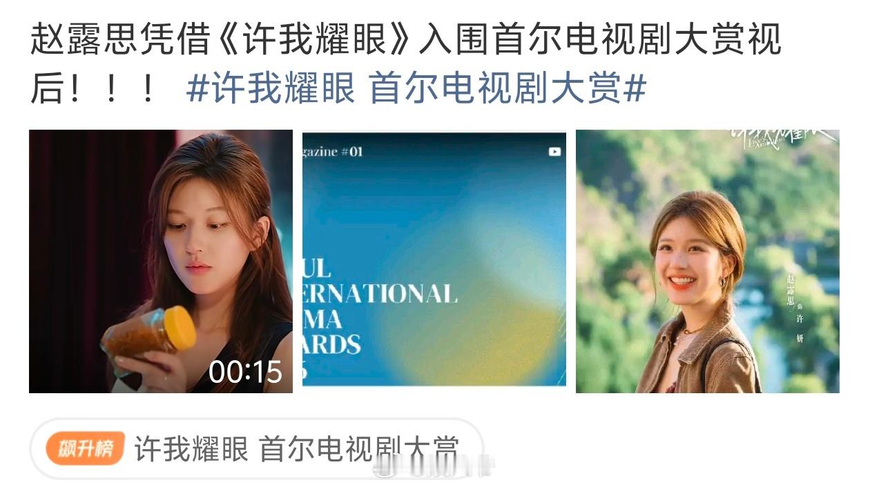 🍉网友发现首尔电视剧大赏官方辟谣赵露思入围视后的信息，大家怎么看 