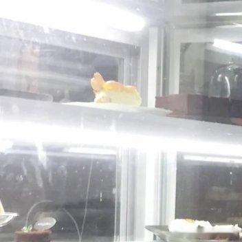 #阳光信用[超话]#学习向日葵，做一个积极吸收正能量的人。生活中其实没多少大风大