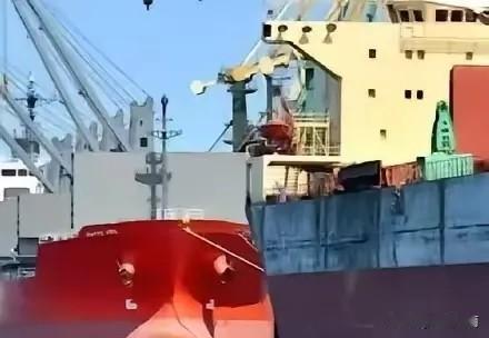 一船满载6.9万吨巴西大豆的货轮靠泊江苏泰州码头时，谁也没想到，大豆中混入了约1