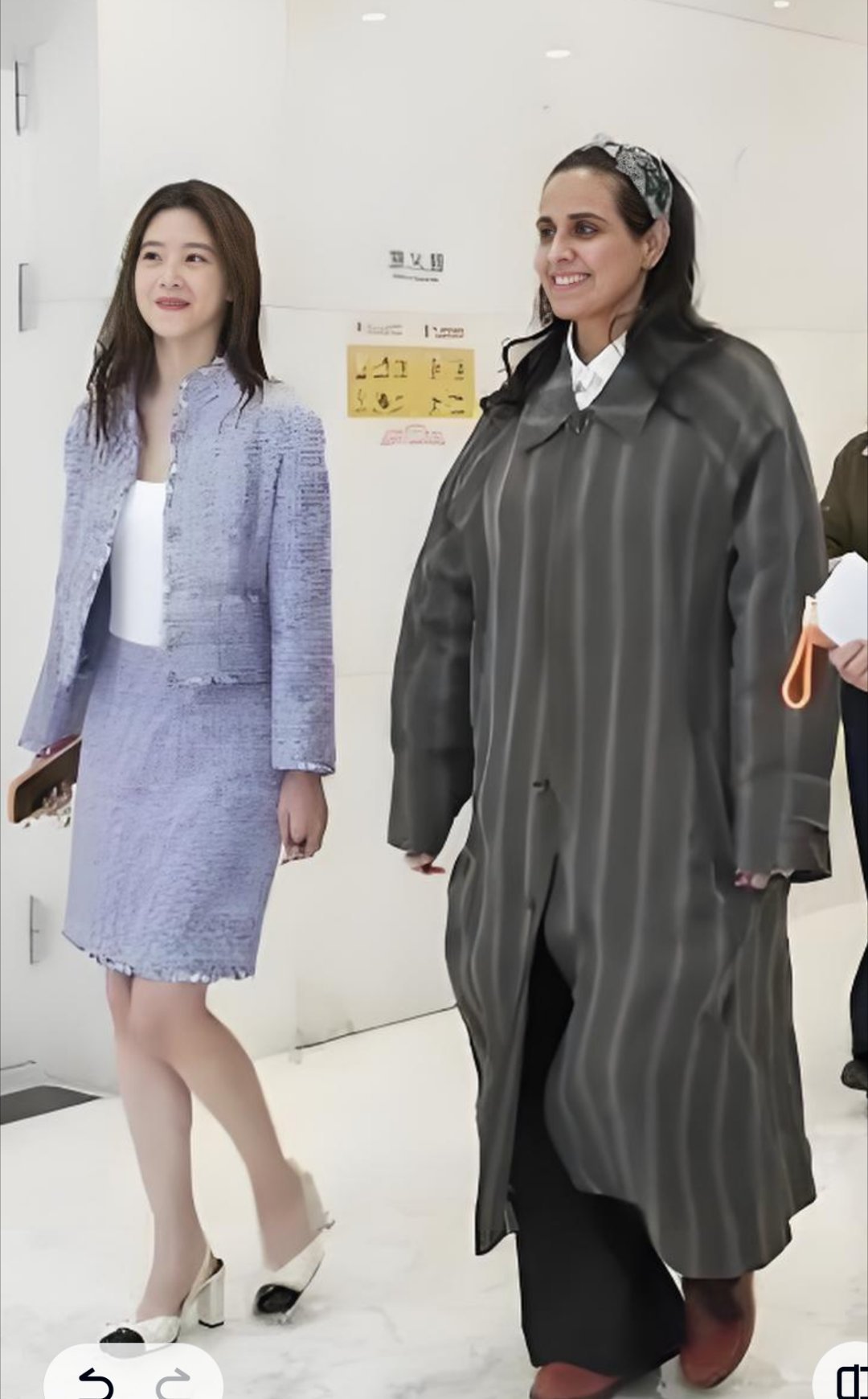 章泽天与卡塔尔公主。话说，老外的黑眼圈都那么重吗  还是画的妆？我有点分不清了如