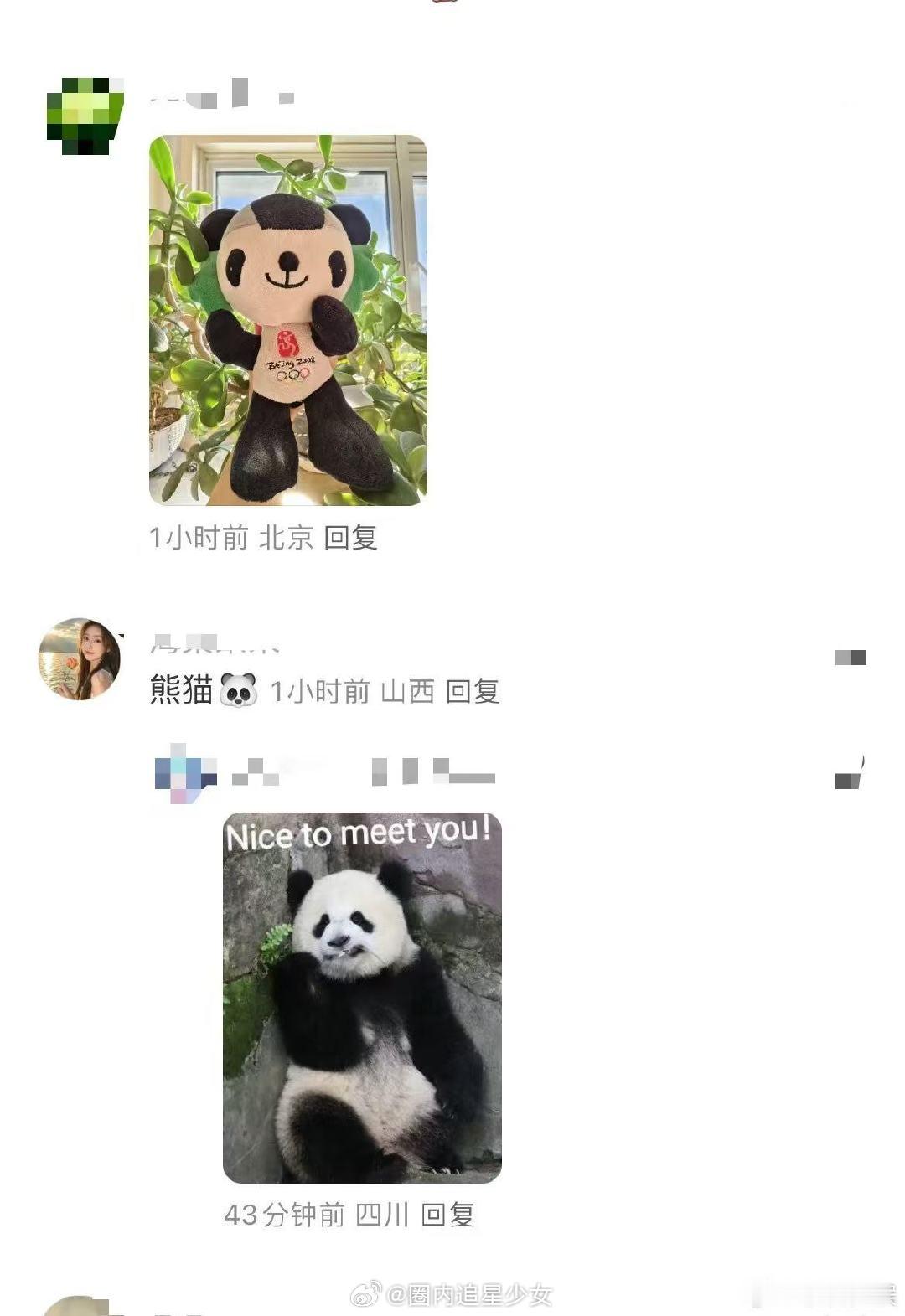 库里也来交熊猫税了  库里和熊猫的互动太自然，完全是一对超有爱的“伙伴”，期待更