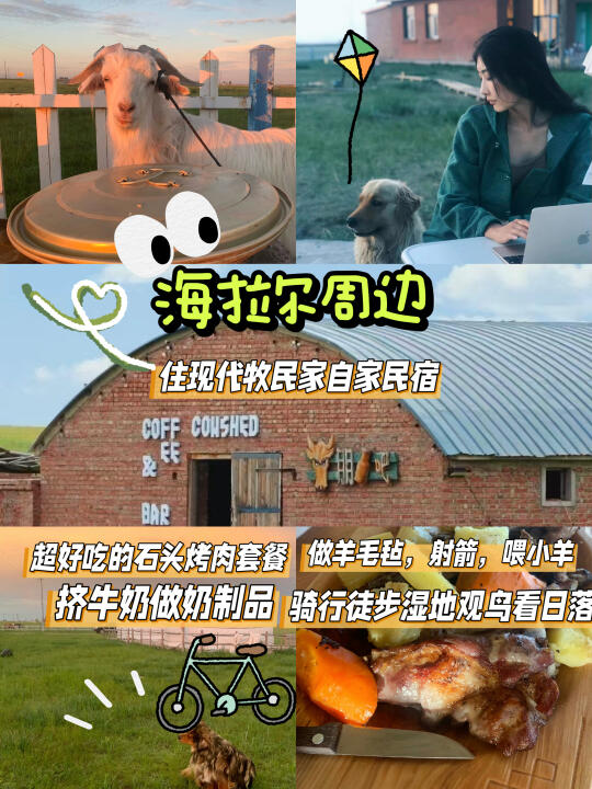 住蒙古包做羊毛毡！牧民家体验清单请查收📜
