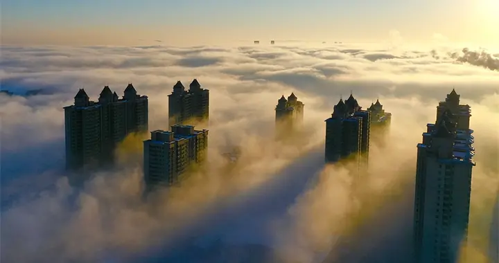 杭州|雾罩长春，凇满枝头