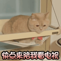 辫子戏是不是被ban了一段时间？解禁了？