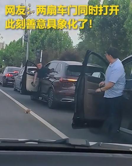 近日山东聊城，一只小奶猫跑到马路上，困在来往车流里。那会儿正好是晚高峰，路上车子