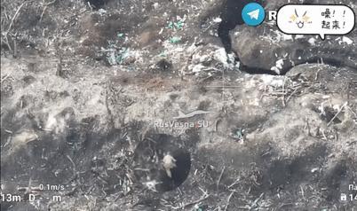 残酷的阵地战。在克里米纳—斯瓦托沃一线的防风林阵地中，俄军进攻乌军阵地，俄军居高