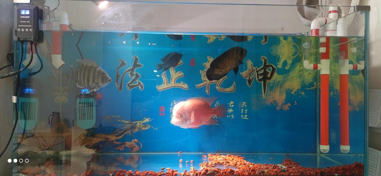 实习律师第134天
       律师自信是必不可少的，千万别自负。
     