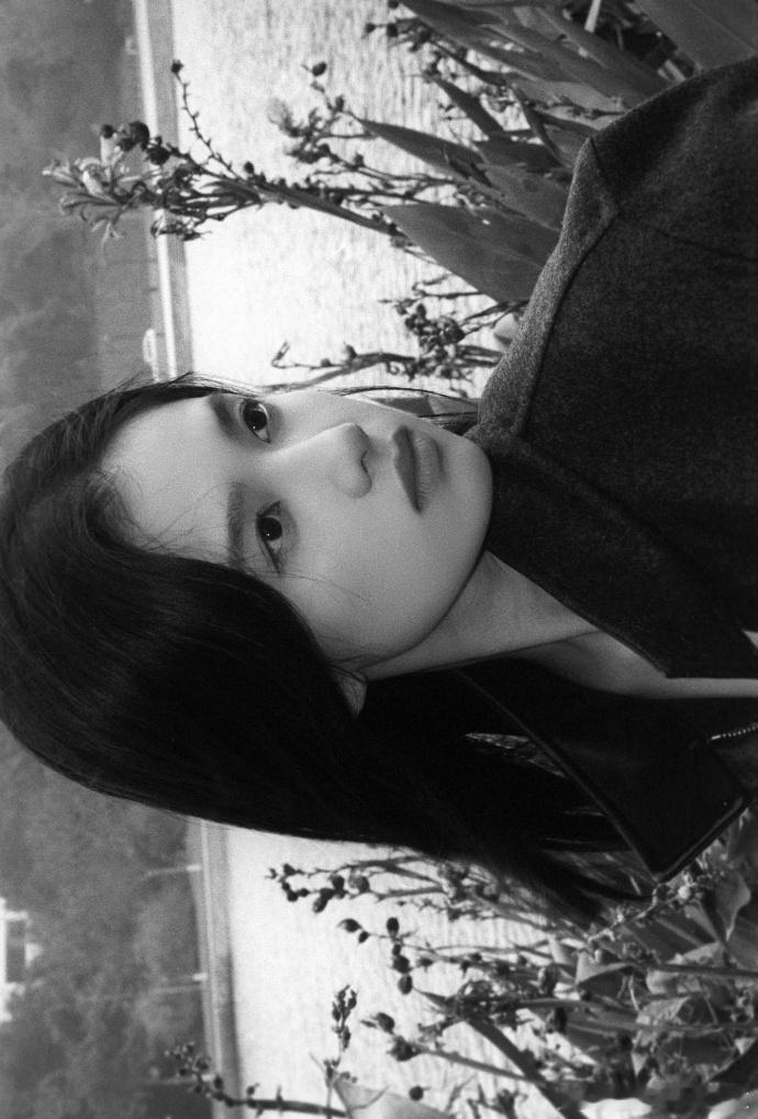 网传观鹤笔记接触张婧仪观鹤笔记张婧仪本想冷眼记录他的悲壮一生，却在风雪刑场前红了