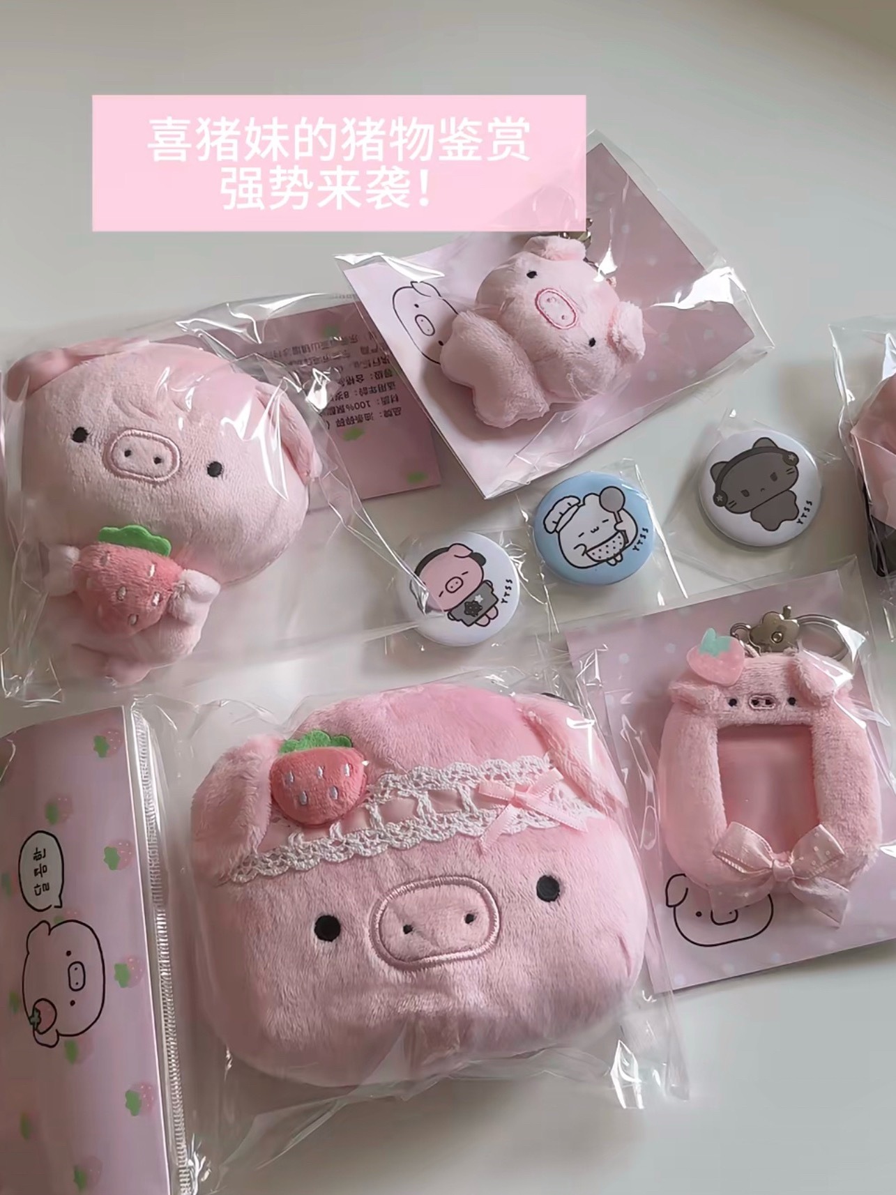 感觉很适合展职位