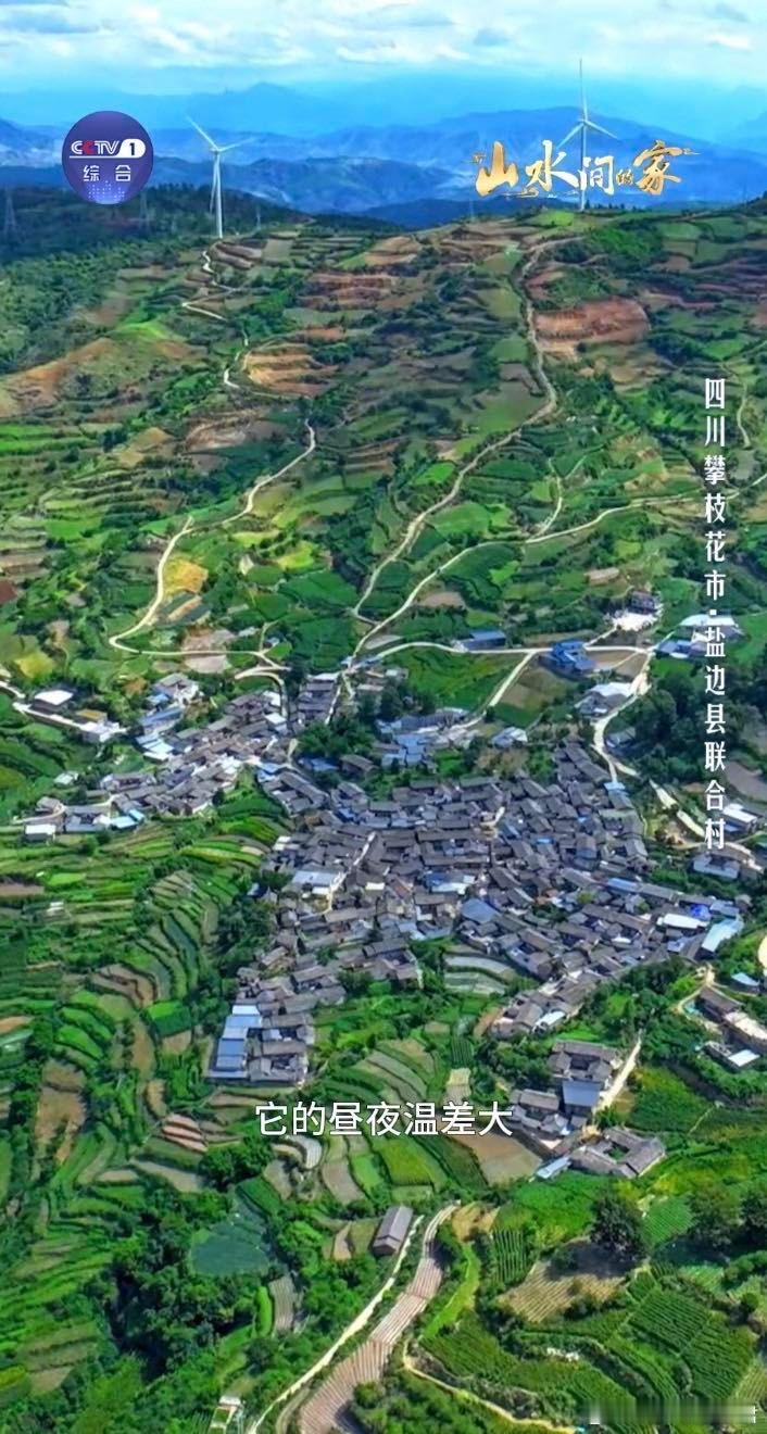 当中国乡村美成了封面中国乡村藏着巨型3D课本 村口的古樟树是“植物年龄”活标本，