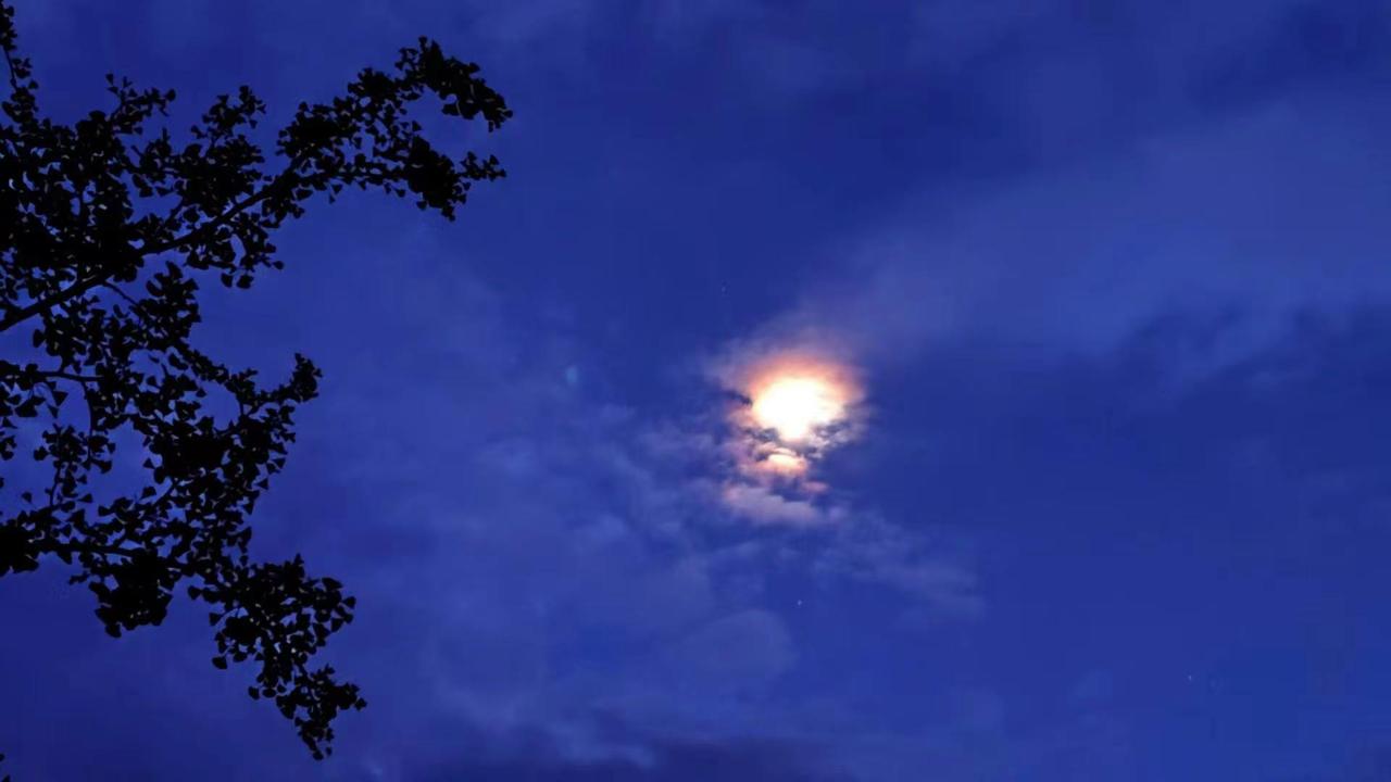 以前总以为母亲节是鲜花和礼物，后来才明白，母亲节其实是一场盛大的‘缺席’。看着别