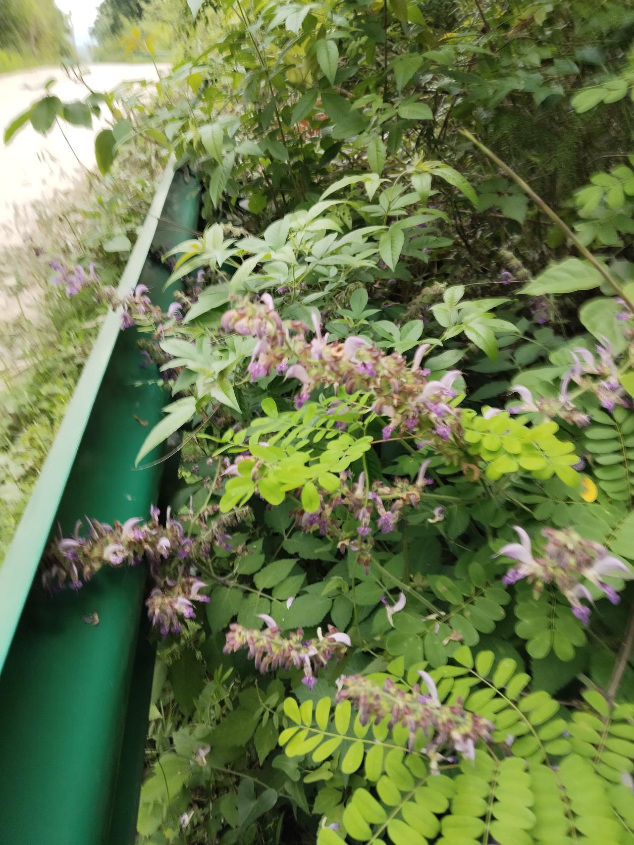晨光轻轻拨开薄雾，人间山河便悄悄换上了温柔的盛装。
 
天边流云漫卷，层层叠叠铺